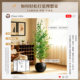 Simulated green plants, light luxury, high-end olive trees, fake tree potted plants