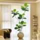 Simulated plant Ficus fiddleleaf ficus floor-standing potted bionic green plant