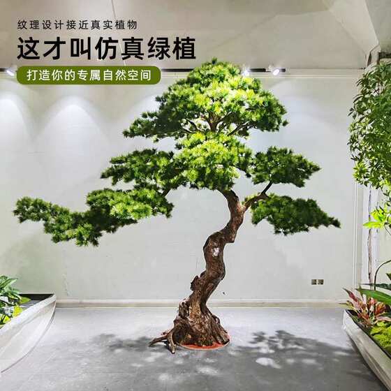 Simulated welcome pine tree fake podocarpus new Chinese style interior