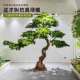 Simulated welcome pine tree fake podocarpus new Chinese style interior