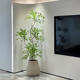 Simulated plant nandina floor-standing potted plant