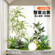 Simulated green plants, large-scale combination landscaping, tropical fake plants