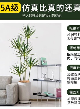 仿真绿植龙舌兰室内装饰落地盆栽