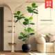 Simulated plant Ficus fiddleleaf ficus floor-standing potted bionic green plant
