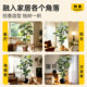 Simulated green plant monstera high-end living room decoration tree