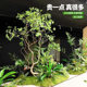 Mazuimu simulated green implanted into the plant landscaping of the entrance hall