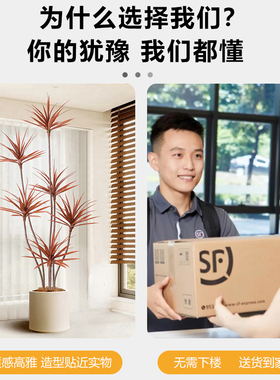 红色千年铁仿真绿植大型落地盆栽室内客厅高端轻奢装饰仿生假植物