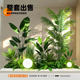 Fake green plants, landscape combination, high-end light luxury ornaments