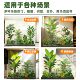 Simulated green plant landscaping combination decorative fake plants