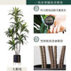 Large fake flower living room plant decoration