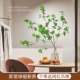 Simulated green plant hanging clock table decoration