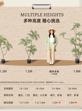 高级感仿真植物十大功劳绿植