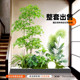 Simulated green plants for landscaping living room large potted plants under stairs corner atmosphere tree tropical indoor landscape plants for landscaping