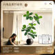 Simulated green plant Qin Ye Rong living room bionic green plant