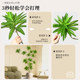 Simulated green plant floor-standing ornaments, high-end light luxury
