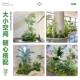 Simulated plant landscaping balcony landscape layout indoor