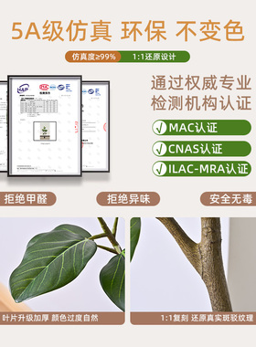 孟加拉榕仿真绿植盆栽仿生植物室内大型高端轻奢树客厅落地装饰树