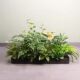 Simulated green plants and simulated flowers outdoor combination