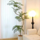 Soft decoration simulated green plant jacaranda decoration