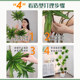 Lily Bamboo Simulated Green Plant Large Indoor