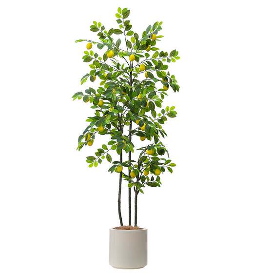 Simulated Lemon Tree Green Planting Pot Aeromobil
