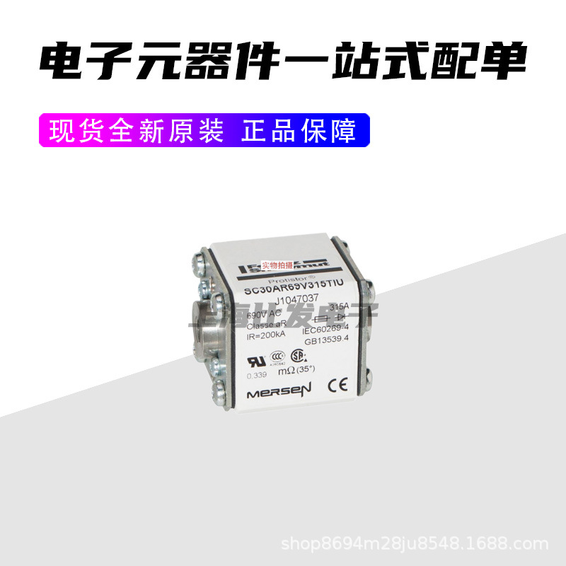 Ferraz熔断器NH000GS69V32PV NH000GS69V40PV NH000GS69V50PV - 图0