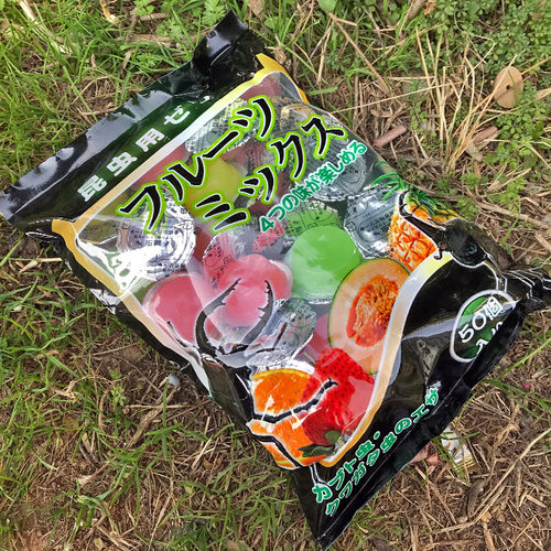 甲虫果冻 独角仙果冻锹甲饲料 蚂蚁食物 昆虫宠物成虫吃的 带食台 - 图2