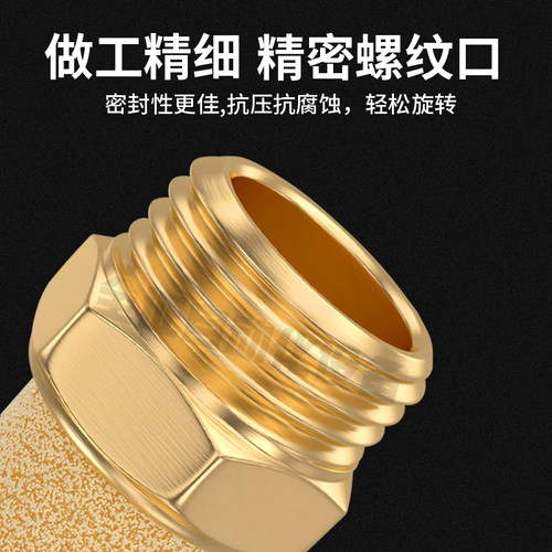 国产 平头消声器   堵头   BSL-01-02-03 1/8  4/1  NPT-01-02-03 - 图3