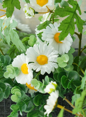 小清新藤条小雏菊仿真花壁挂装饰