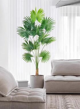 真绿植蒲葵假植物室内大型落地盆栽高级摆件装饰品高端轻奢花树
