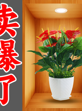 过道楼梯pvc防水自粘高清
