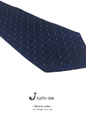 蓝色系桑蚕丝休闲风公务员领带