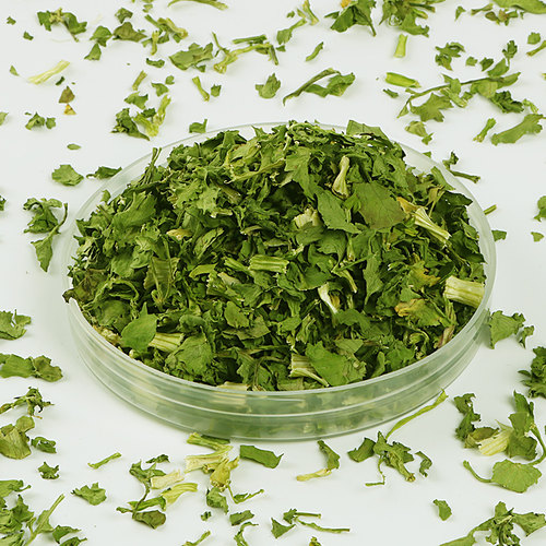 绿千谷脱水蔬菜罐装香菜干提味莚荽菜芫荽户外农家干货增香调味料 - 图2