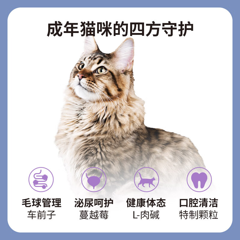 伯纳天纯成猫粮幼猫粮10kg无谷去毛球英美短博纳天纯20斤猫粮-图0