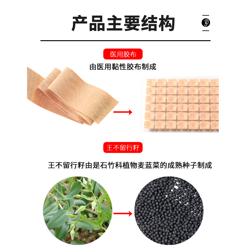 王不留行籽耳穴贴压豆贴医用儿童中医耳朵穴位模型按摩压力刺激贴 - 图1