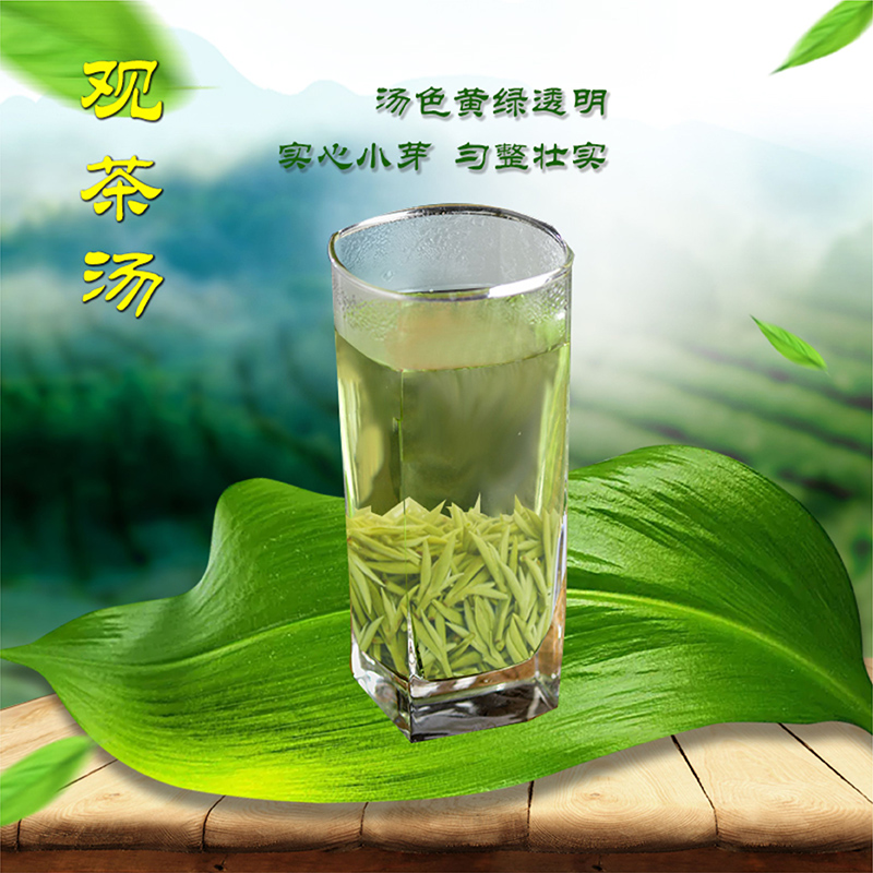 2024新茶蒙顶甘露开园头采9号甘露春茶 蒙顶山茶 碧螺春类绿茶 - 图1