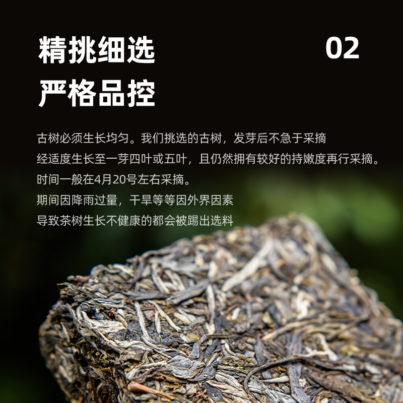 可步 7系藤条王 普洱茶 云南冰岛古树生砖2023年头春