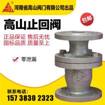 Alpine card vertical check valve H42H-25Q vertical lifting check valve Ductile Iron Check Valve Alpine Valve