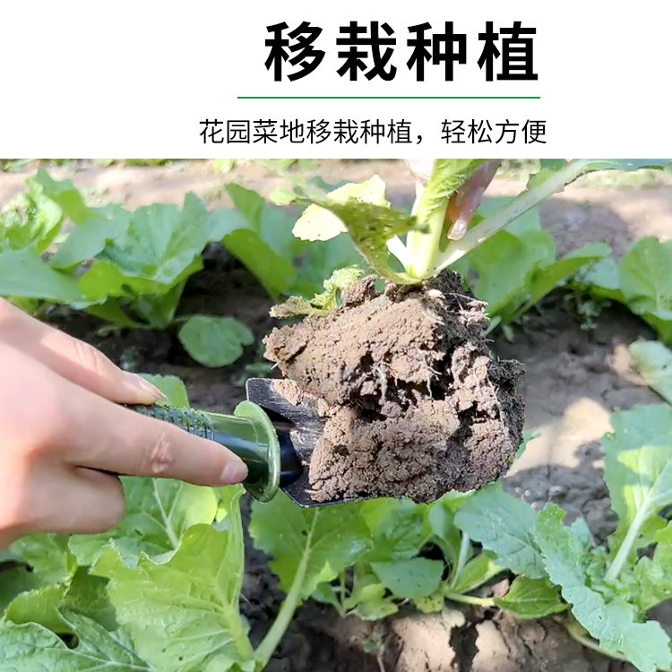 种菜工具赶海神器铁锹铁铲耙子家用套装栽养花多肉花铲园艺小铲子 - 图2