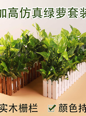 【热卖单品】仿真绿萝家居摆件组