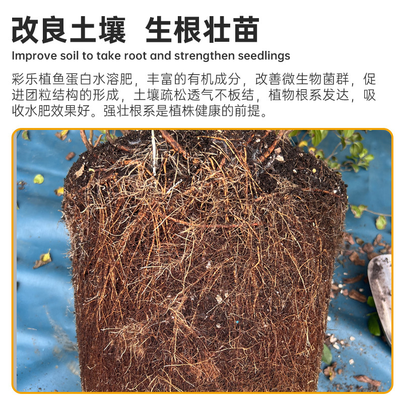彩乐植鱼蛋白水溶肥氨基酸瓜果蔬菜花卉通用叶面农用营养液生根剂,淘宝优惠券,粉丝福利购,淘宝优惠卷