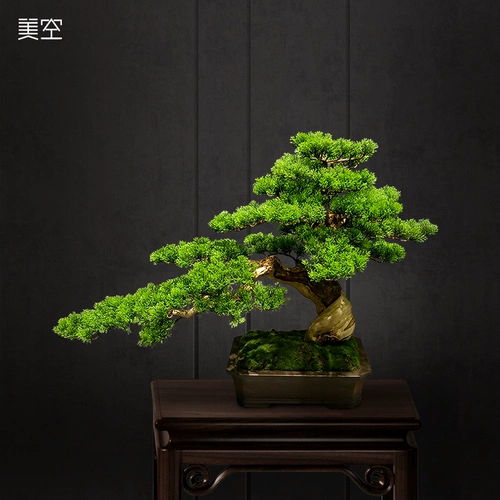 Mikong 251/Сплошное дерево