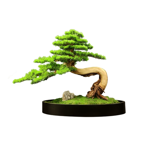 Mikong 251/Сплошное дерево