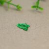 #L703 Full green Burmese natural A-grade jadeite carved ring surface set with ring pendant loose stone