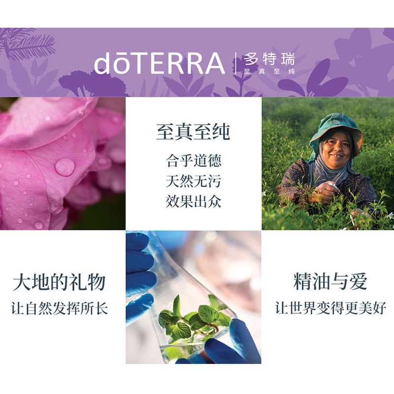 多特瑞精油官网美国正品doterra麦卢卡单方精油镇定放松抗氧化5ml - 图1