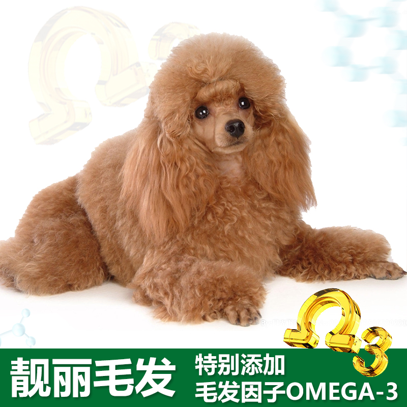 果莉派小型犬成犬幼犬狗粮泰迪贵宾博美吉娃娃奶糕粮500gX3罐3斤-图2