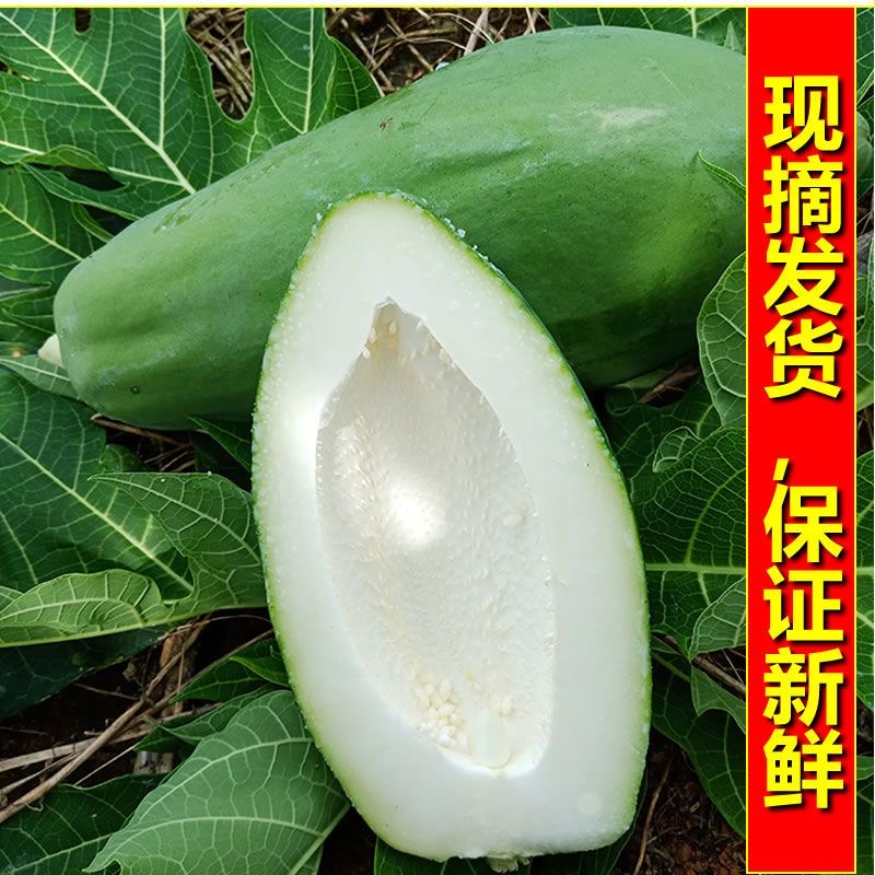 广西青木瓜8斤孕妇下奶新鲜蔬菜木瓜凉拌腌酸生木瓜整箱批发包邮 - 图0