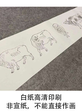 【无步骤】工笔画 画白描底稿古画 画长卷韩滉五牛图初学者临摹画