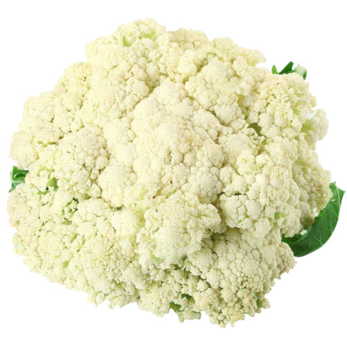 青梗松花菜种子苗春秋季50/60/70/80/85蔬菜花椰菜种籽孑散花夏季 - 图3