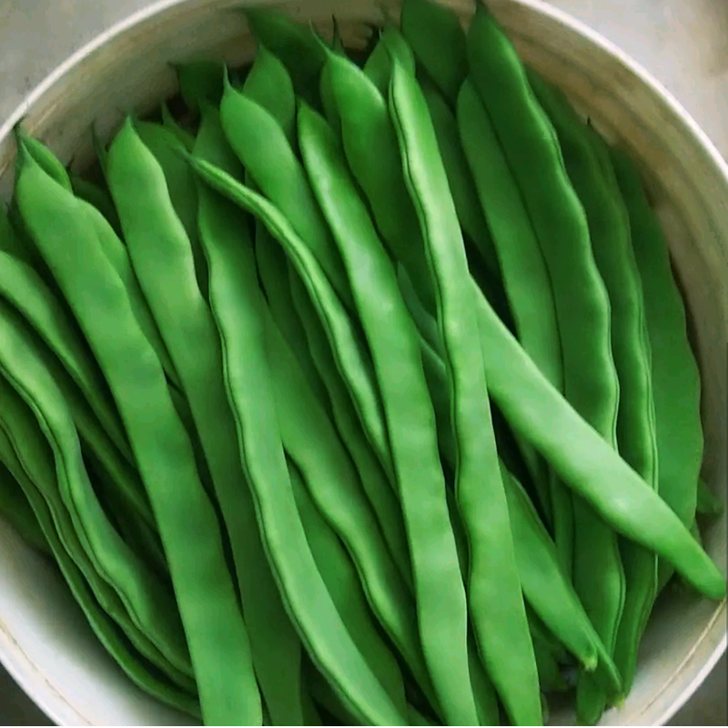 宽芸豆种子秋四季豆架豆春夏油豆四季种籽蔬菜孑豆角籽菜豆扁豆种 - 图2